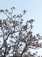 Výřez (R), 1/500 s, Clona: 5.6, ISO: 64, Ohnisková vzdálenost: 4.92 mm