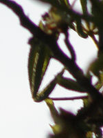 Výřez (R), 1/800 s, Clona: 5.6, ISO: 64, Ohnisková vzdálenost: 92.00 mm