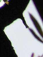 Výřez (R), 1/800 s, Clona: 5.6, ISO: 64, Ohnisková vzdálenost: 92.00 mm