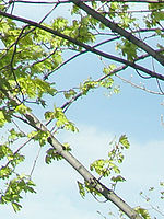 Výřez (R), 1/250 s, Clona: 4.3, ISO: 64, Ohnisková vzdálenost: 23.37 mm