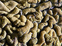 Výřez (R), 1/200 s, Clona: 5.6, ISO: 64, Ohnisková vzdálenost: 9.77 mm