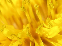 Výřez (R), 1/640 s, Clona: 3.5, ISO: 64, Ohnisková vzdálenost: 9.77 mm