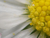 Výřez (R), 1/125 s, Clona: 3.5, ISO: 64, Ohnisková vzdálenost: 9.77 mm