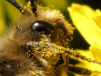 Výřez (R), 1/160 s, Clona: 5.6, ISO: 64, Ohnisková vzdálenost: 9.77 mm