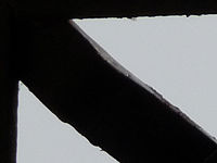 Výřez (R), 1/1000 s, Clona: 4.9, Ohnisková vzdálenost (EQ35mm): 280 mm,ISO: 100