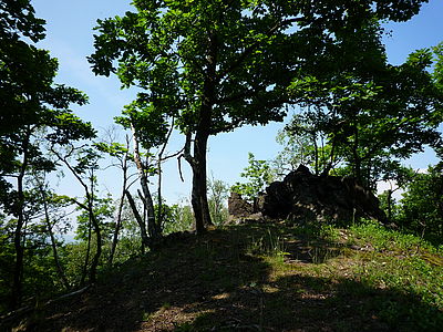 Originál (R), 1/500 s, Clona: 3.5, Ohnisková vzdálenost (EQ35mm): 25 mm, ISO: 100