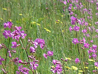 Výřez (R), 1/500 s, Clona: 3.4, Ohnisková vzdálenost (EQ35mm): 30 mm,ISO: 100