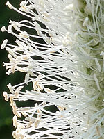 Výřez (R), 1/100 s, Clona: 4.9, Ohnisková vzdálenost (EQ35mm): 64 mm,ISO: 100