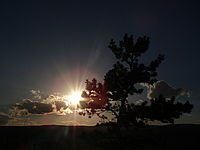 Náhled, 1/4000 s, Clona: 8.0, ISO: 80, Ohnisková vzdálenost: 7.80 mm