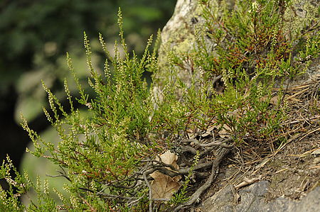 Obrázek č. 23 – Nikon D700