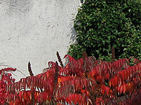 Výřez (R), 1/160 s, F8.0, ISO: 80, f35 mm (35mm ekv.)