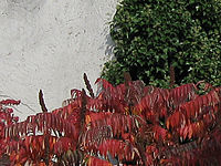 Výřez (R), 1/160 s, F8.0, ISO: 80, f35 mm (35mm ekv.)