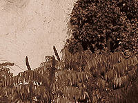 Výřez (R), 1/160 s, F8.0, ISO: 80, f35 mm (35mm ekv.)