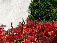 Výřez (R), 1/160 s, F8.0, ISO: 80, f35 mm (35mm ekv.)