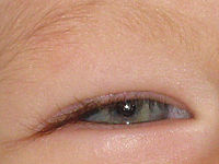 Výřez (R), 1/60 s, F5.6, ISO: 200, f140 mm (35mm ekv.)