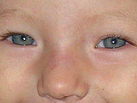 Výřez (R), 1/60 s, F2.7, ISO: 160, f35 mm (35mm ekv.)