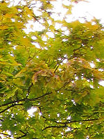 Výřez (R), 1/160 s, F2.7, ISO: 80, f35 mm (35mm ekv.)