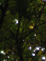 Výřez (R), 1/160 s, F5.6, ISO: 125, f140 mm (35mm ekv.)