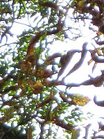 Výřez (R), 1/160 s, F5.6, ISO: 125, f140 mm (35mm ekv.)