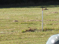 Výřez (R), 1/400 s, F4.5, ISO: 80, f94 mm (35mm ekv.)