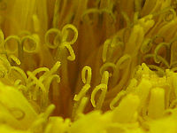 Výřez (R), 1/320 s, F2.7, ISO: 80, f35 mm (35mm ekv.)