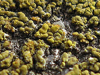 Výřez (R), 1/400 s, F2.7, ISO: 80, f35 mm (35mm ekv.)