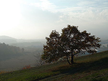(R) 1/1000 s,F5.0,ISO: 80,f 60 mm (35mm ekv.)