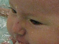 Výřez (R) 1/50 s,F4.3,ISO: 800,f 338 mm (35mm ekv.)