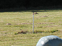 Výřez (R) 1/400 s,F4.0,ISO: 80,f 81 mm (35mm ekv.)