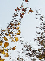 Výřez (R) 1/640 s,F4.0,ISO: 80,f 41 mm (35mm ekv.)