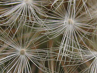 Výřez (R) 1/640 s,F2.8,ISO: 125,f 34 mm (35mm ekv.)