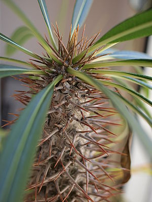 ISO: 100  Doba expozice: 1/100 s Clona: 3.2 