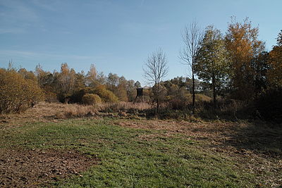 (R)Originál, 1/320 s,F7.1,ISO: 100