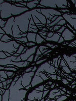 Výřez (R) 1/680 s,F8.0,ISO: 100