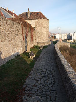 (R)Originál, 1/250 s,F4.0,ISO: 100