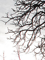 Výřez (R) 1/320 s,F4.0,ISO: 80