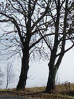 Výřez (R) 1/320 s,F5.0,ISO: 64