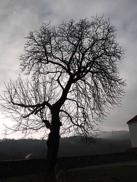 (R)Originál, 1/800 s,F8.0,ISO: 100