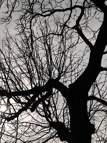 (R)Originál, 1/1000 s,F10,ISO: 100