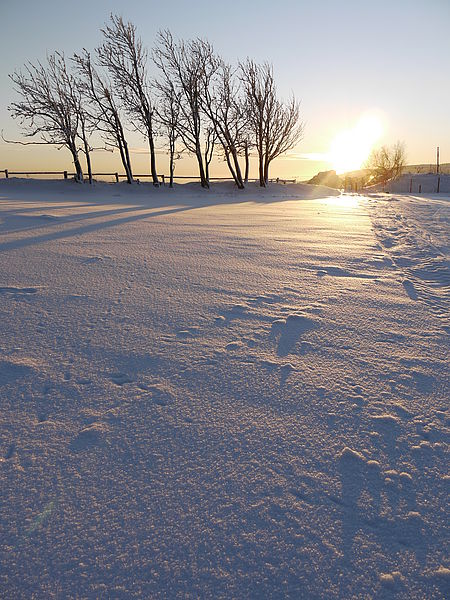 (R)Originál, 1/200 s,F7.1,ISO: 100