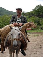 Místňák s beranem