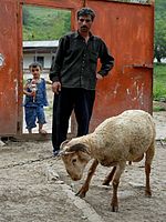 Jako by věděl, co ho čeká