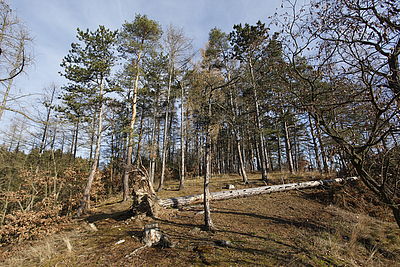 Obrázek č. 14  - Objektiv EF 17-40mm f/4 L USM, čas 1/250 vteřiny, clona f/8, ISO 200