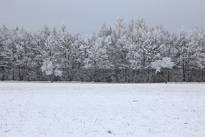 Obrázek č. 17  - Objektiv EF 24-105mm f/4 L IS USM, čas 1/60 vteřiny, clona f/10, ISO 100