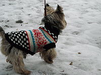 Náhled,f/4.7, 1/250 s ,ISO: 616, F 17.10 mm 