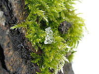 Náhled,f/4.7, 1/125 s ,ISO: 248, F 17.10 mm 