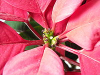 Náhled,f/3.9, 1/21 s ,ISO: 800, F 12.30 mm 