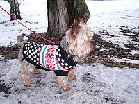 Náhled,f/3.3, 1/50 s, ISO: 200, F 6.30 mm 