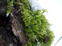 Náhled,f/3.3, 1/80 s, ISO: 64, F 6.30 mm 