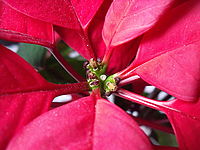 Náhled,f/3.3, 1/50 s, ISO: 800, F 6.30 mm 